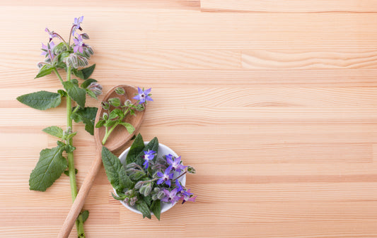 Supreme Health Benefits of Borage