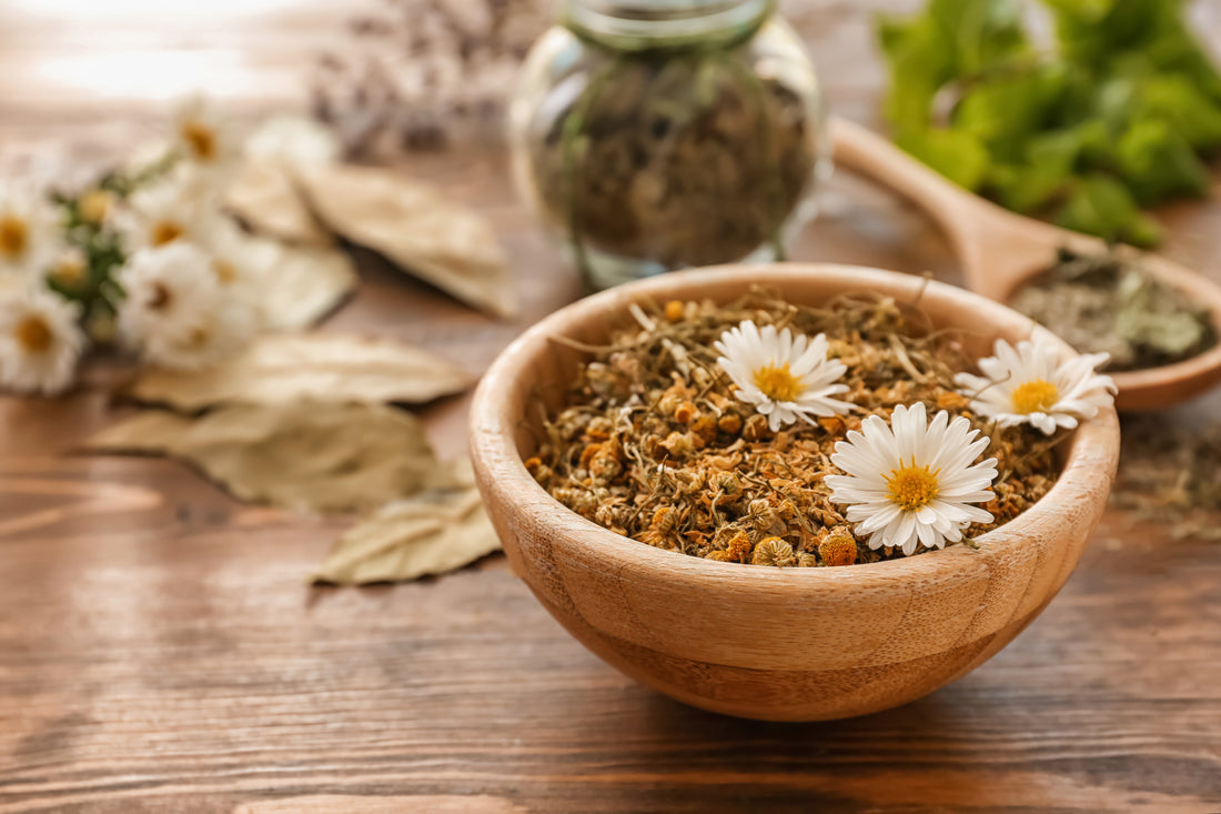 Incredible Benefits of Chamomile for Skin