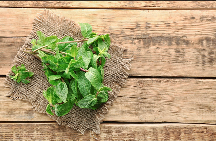 Harness the Healthful Power of Mint