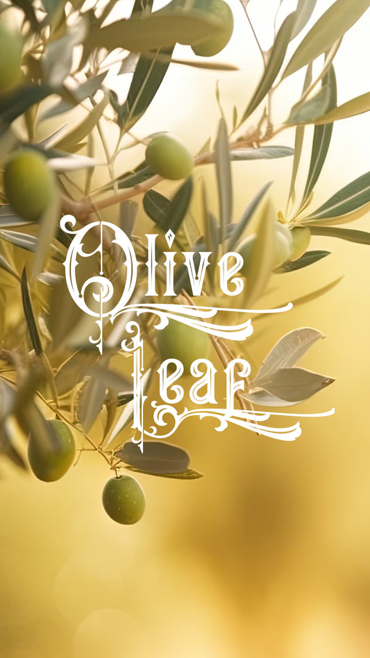 The Ultimate Guide to Olive Leaf Skin Benefits